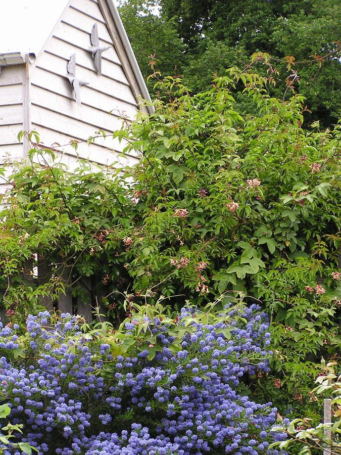 Lemonade Creek Cottages لورن المظهر الخارجي الصورة