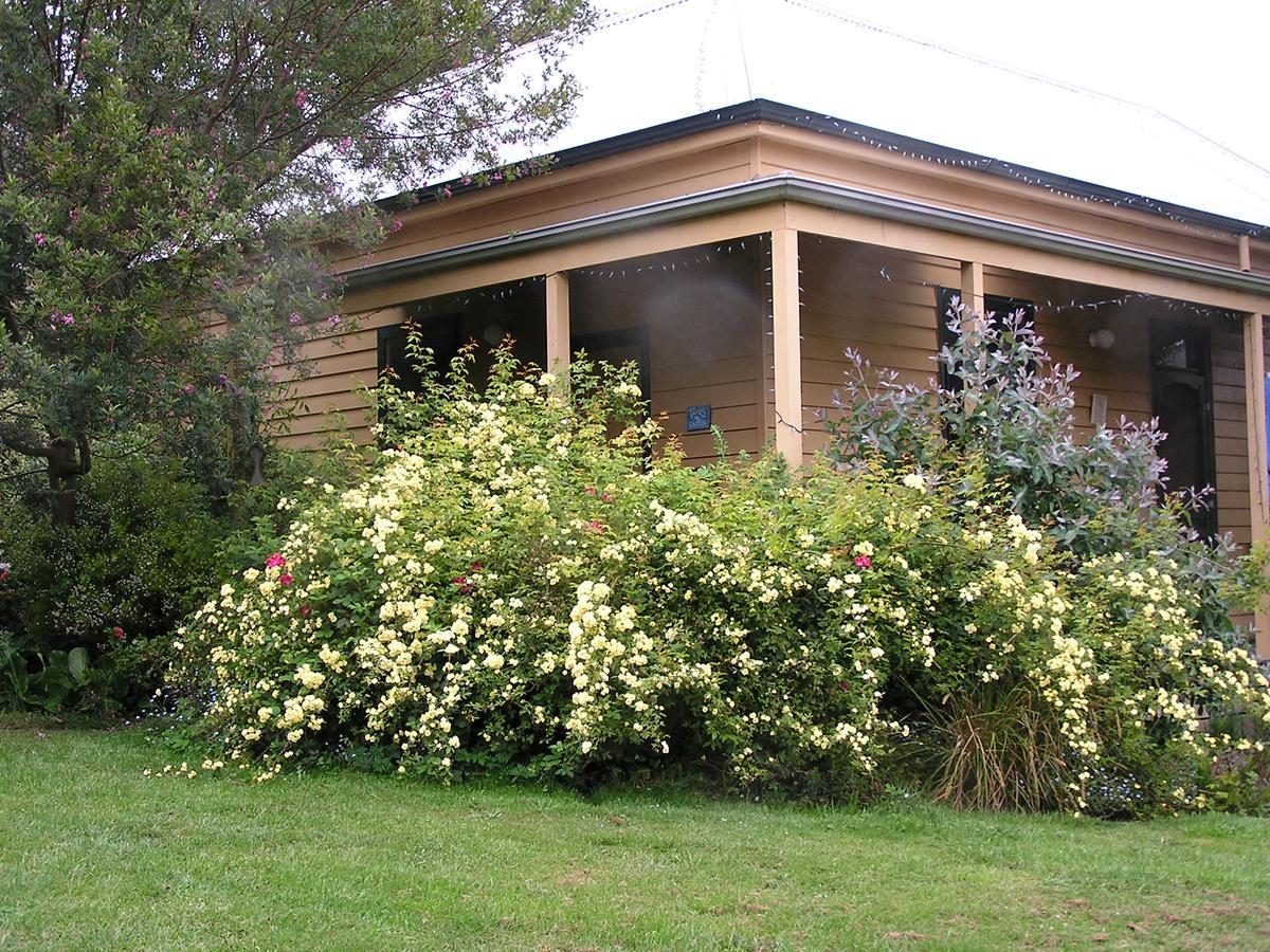 Lemonade Creek Cottages لورن المظهر الخارجي الصورة